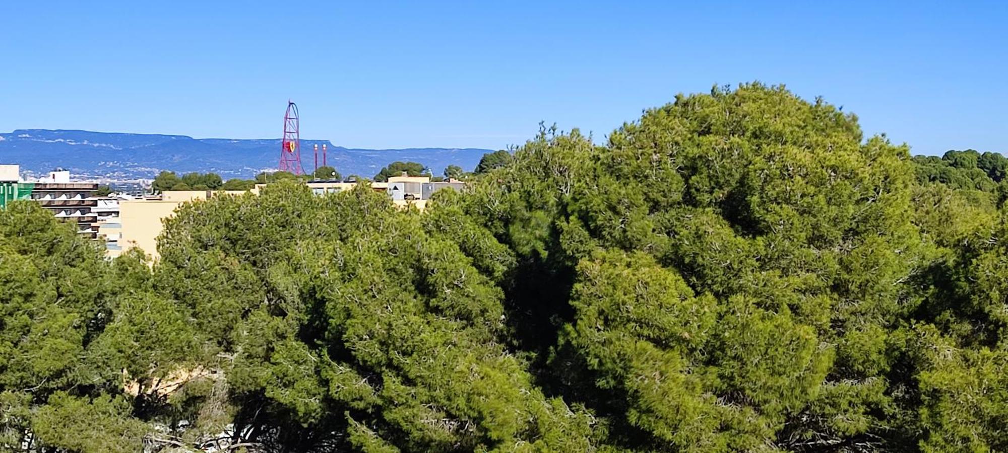 Apartamento El Mirador Salou