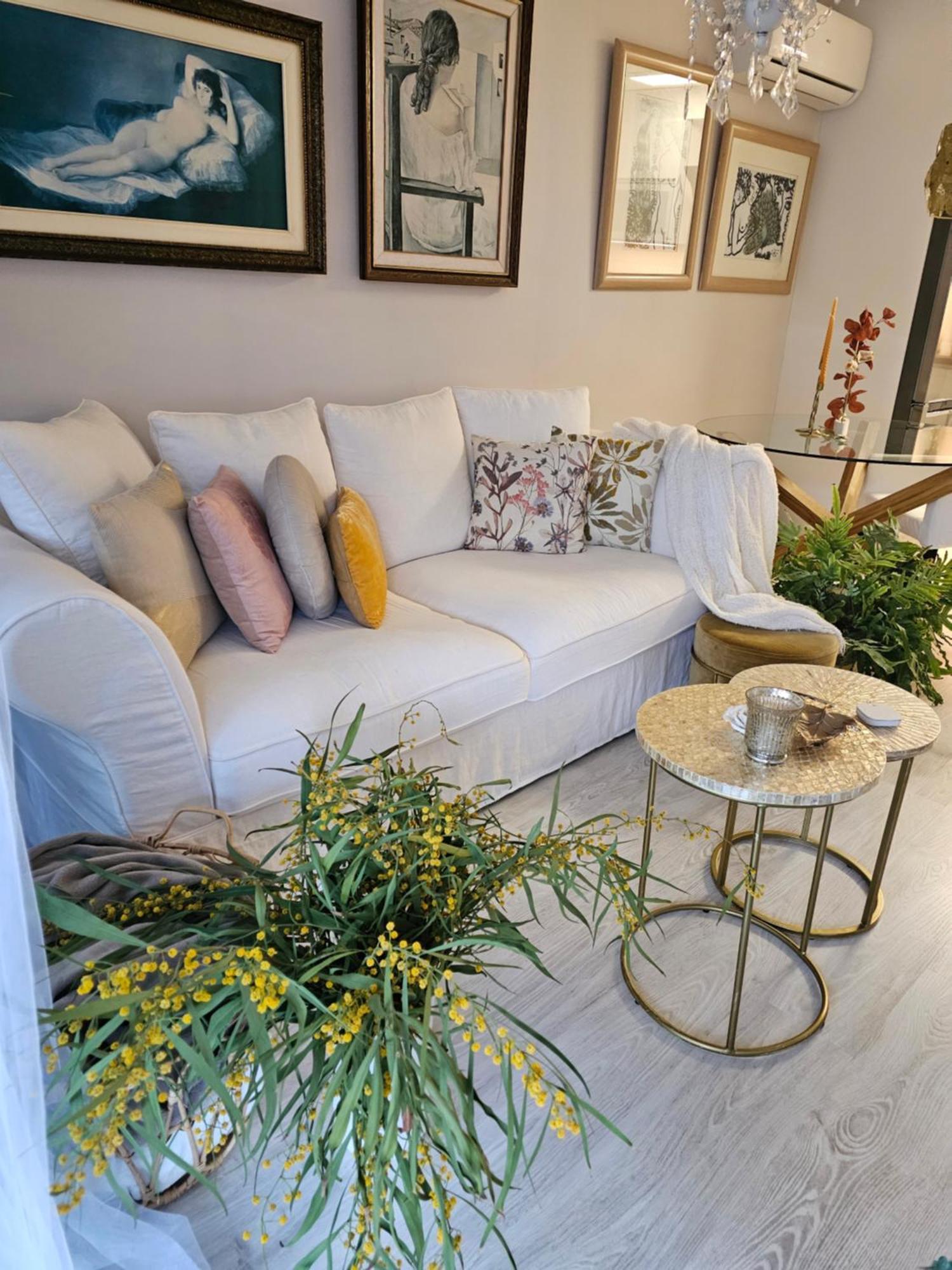 Apartamento Apto La Mimosa - *