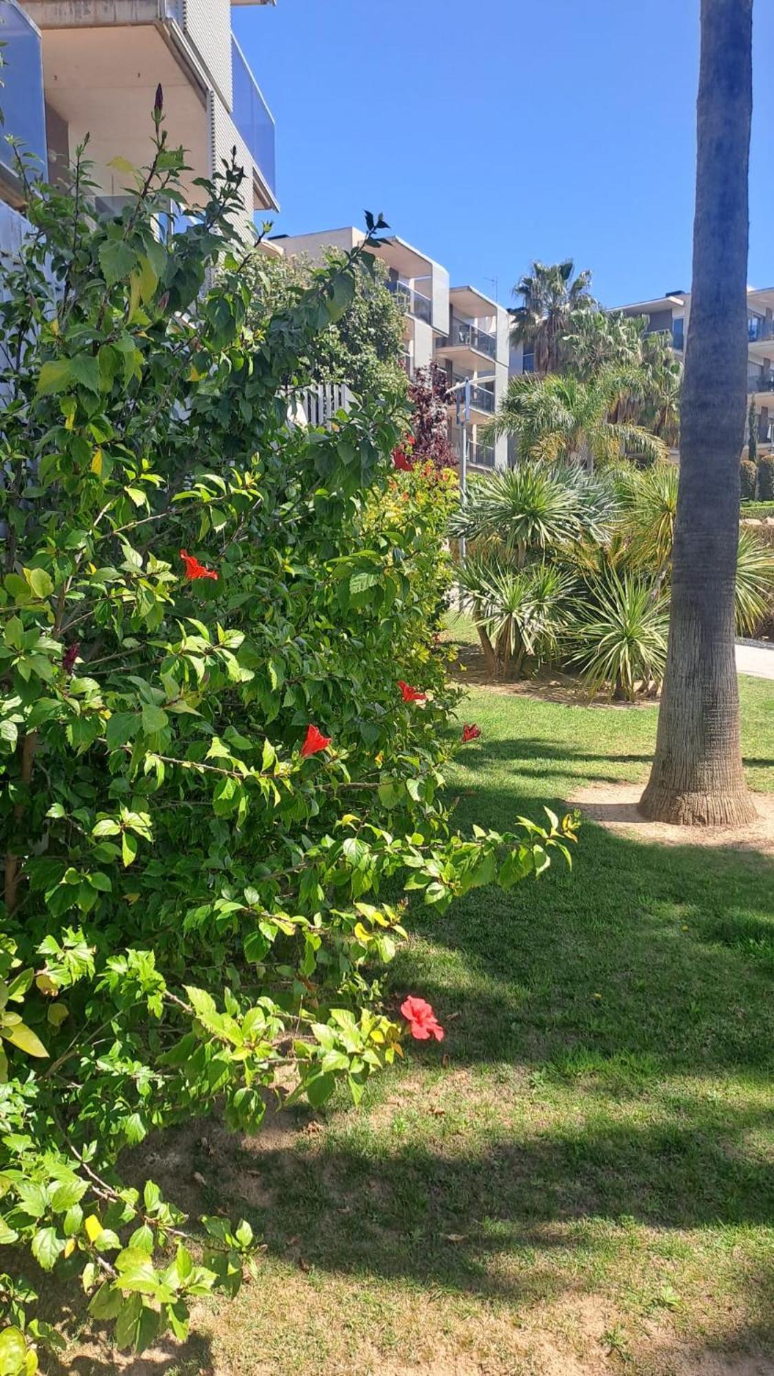 Apartamento Port Aventura 5 Min A Pied - Superbe