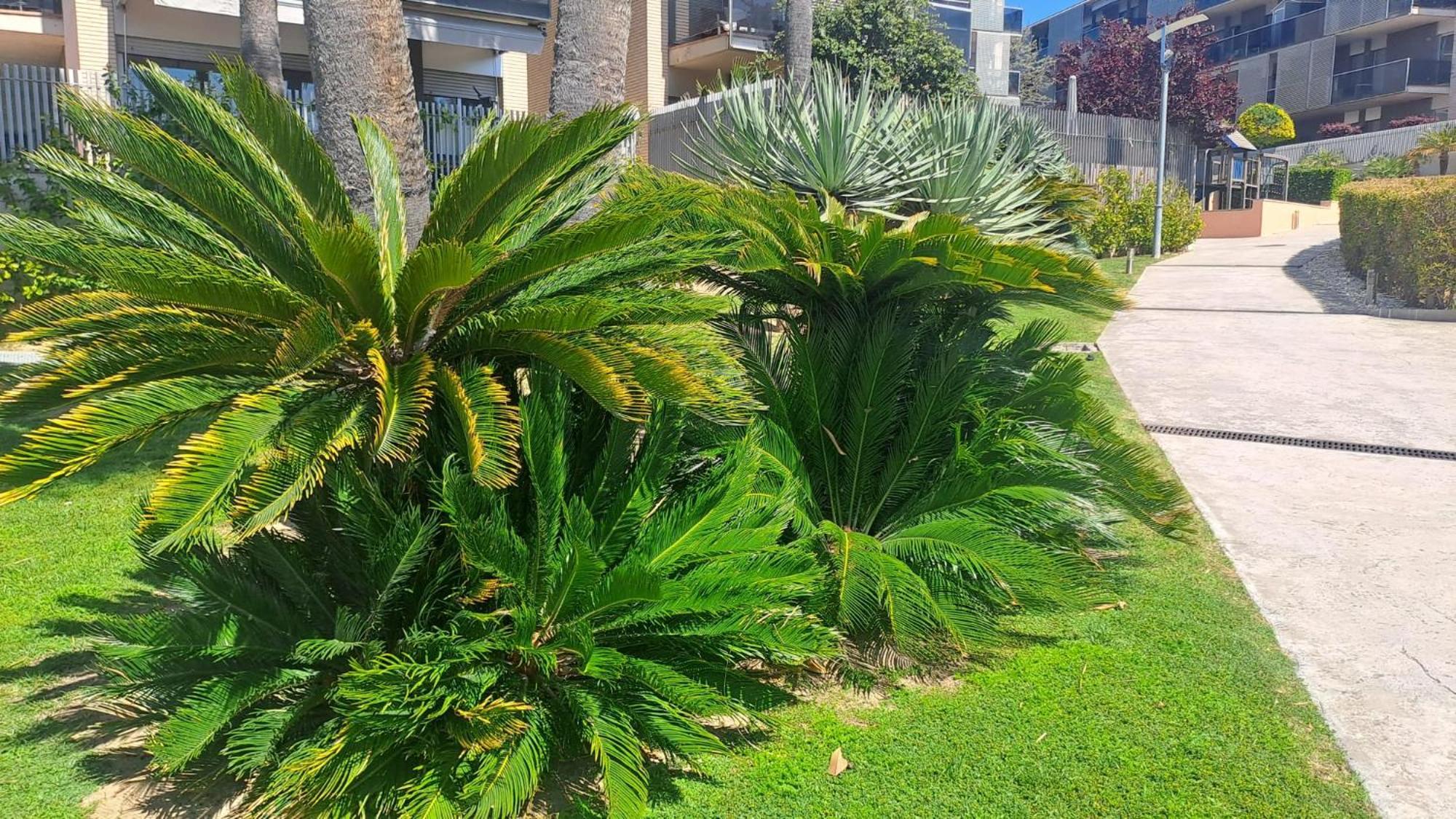 Port Aventura 5 Min A Pied - Superbe Apartamento Salou
