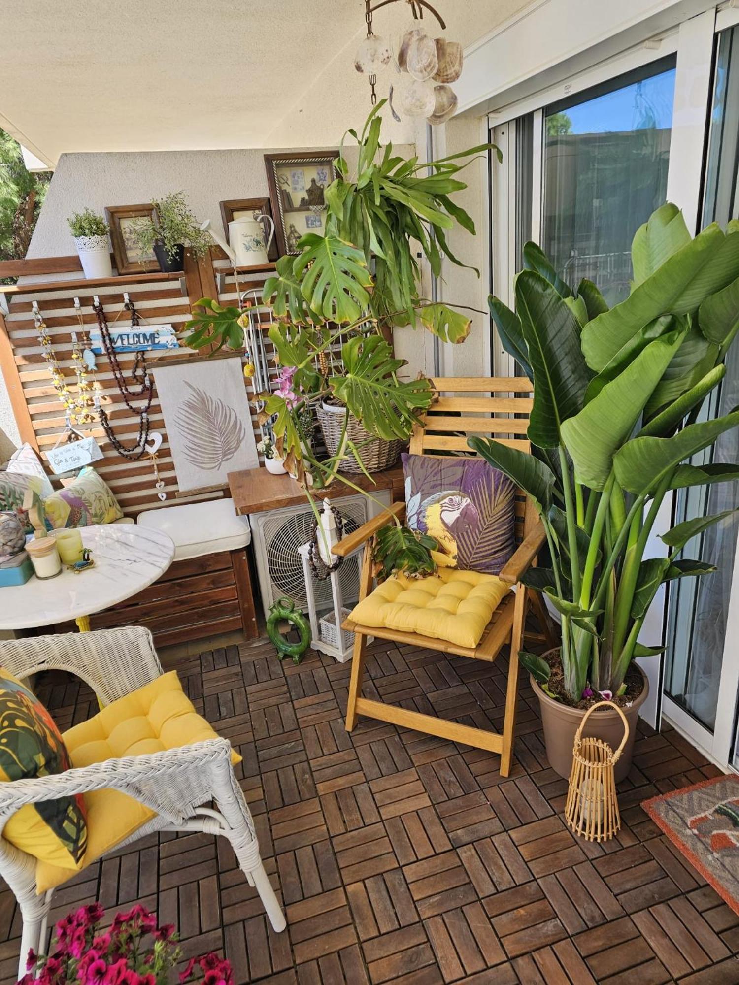Apartamento Apto La Mimosa - *