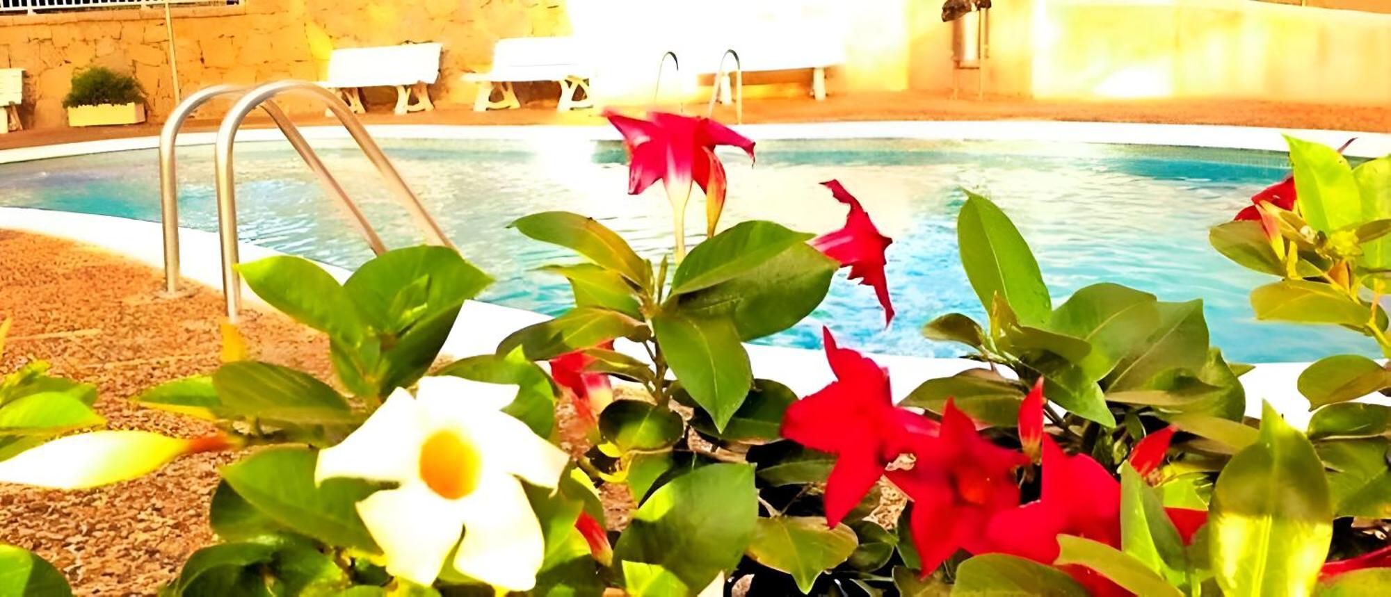 Apartamento Vistas Al Mar, 50 Metros Playa Y Centro, Cama Queen Size