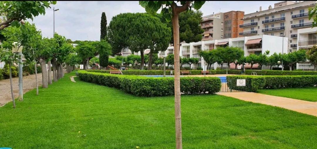 Pitarra Cerca De Portaventura *