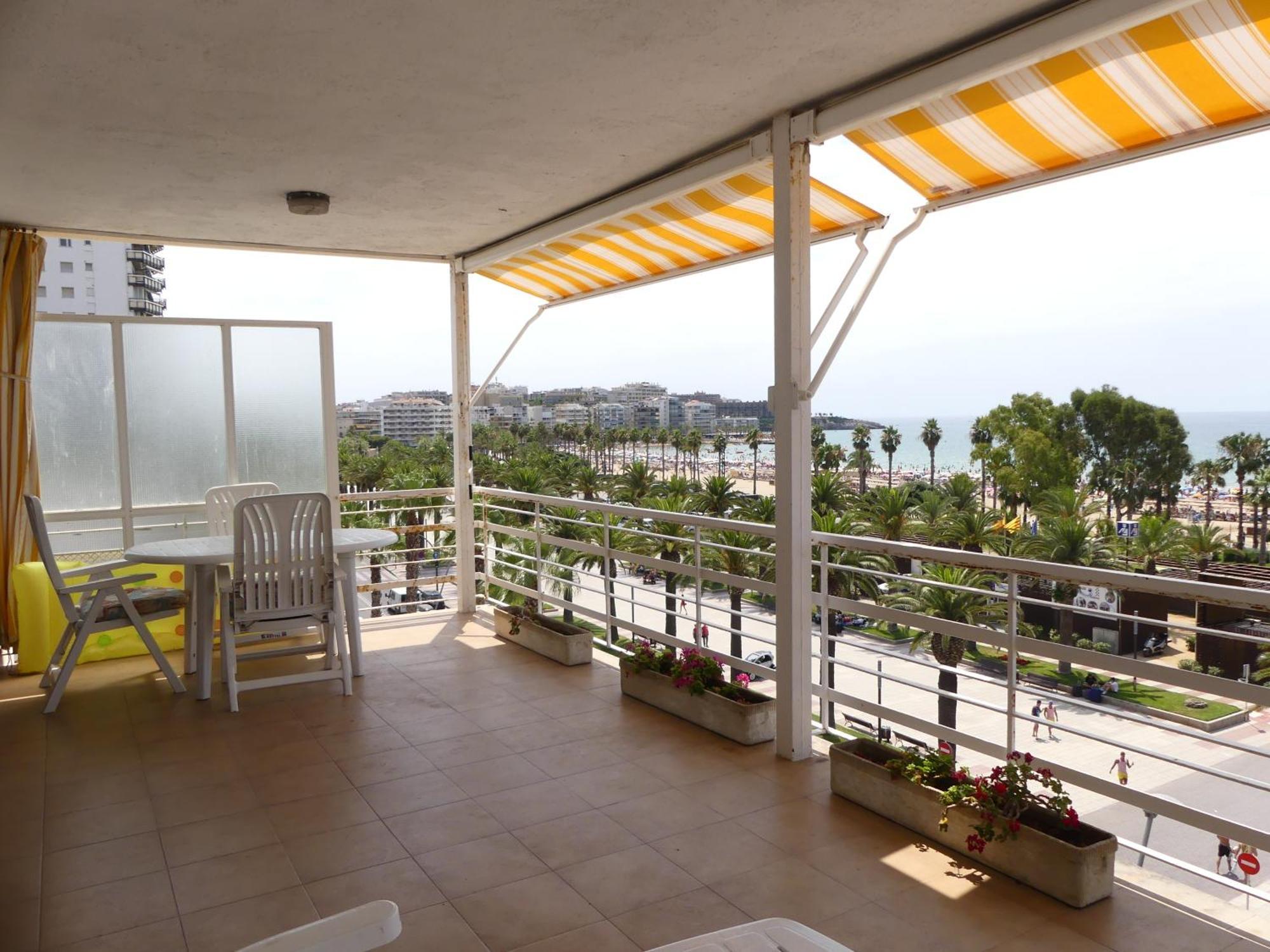 Zeus Alexis Frontal Appartement *