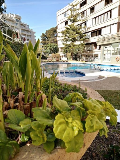 Salou, Port Aventura, Piscina, A 80m Del Mar * Salou