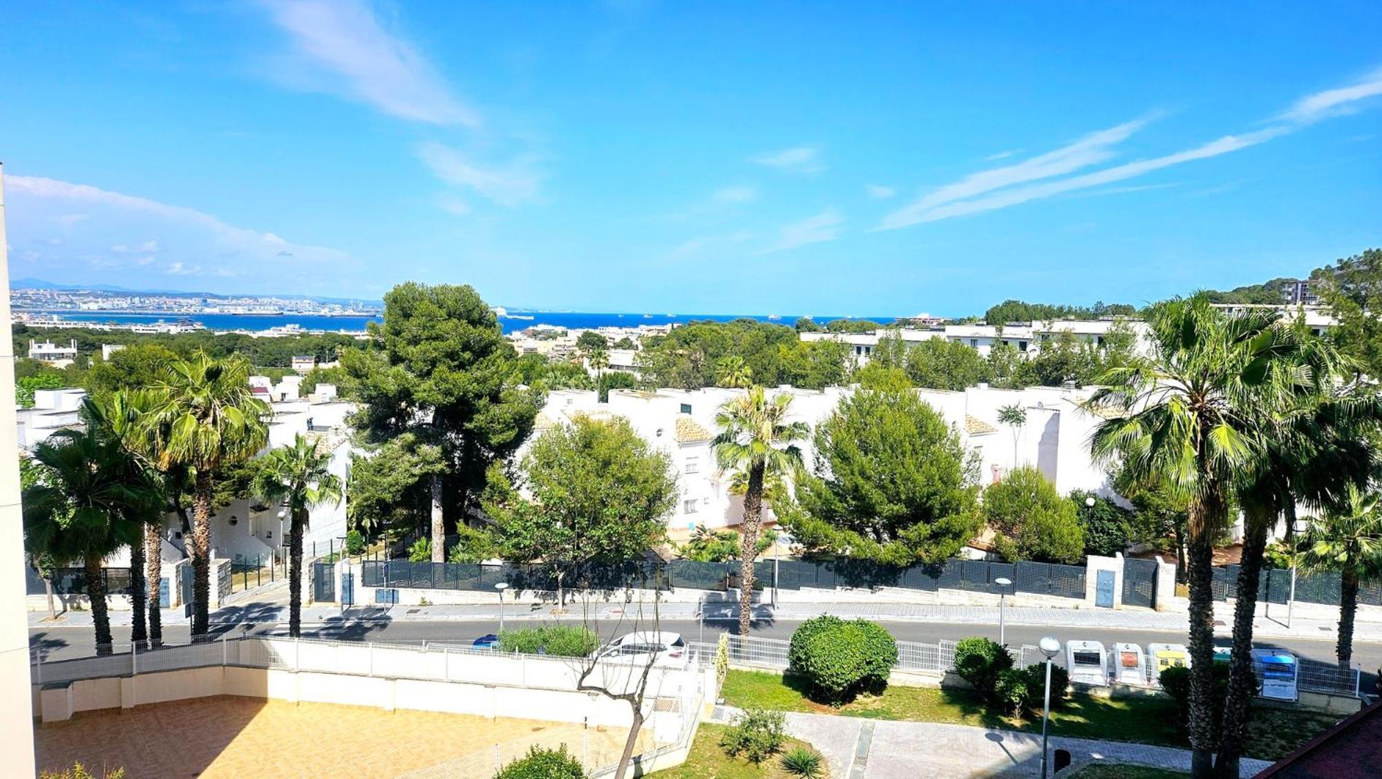 Apartment Carrer Del Fonoll *