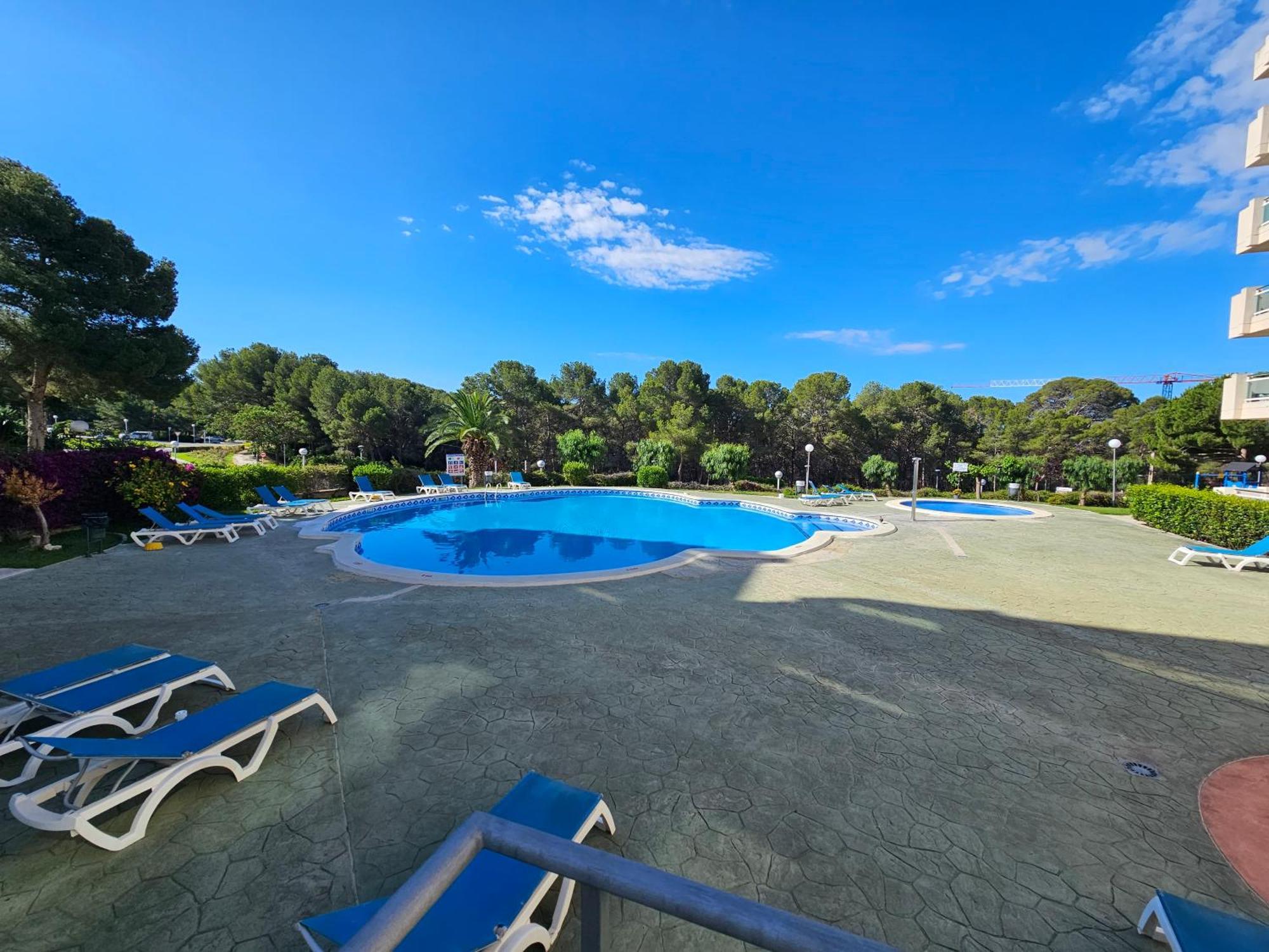 Apartamento Apto La Mimosa - *