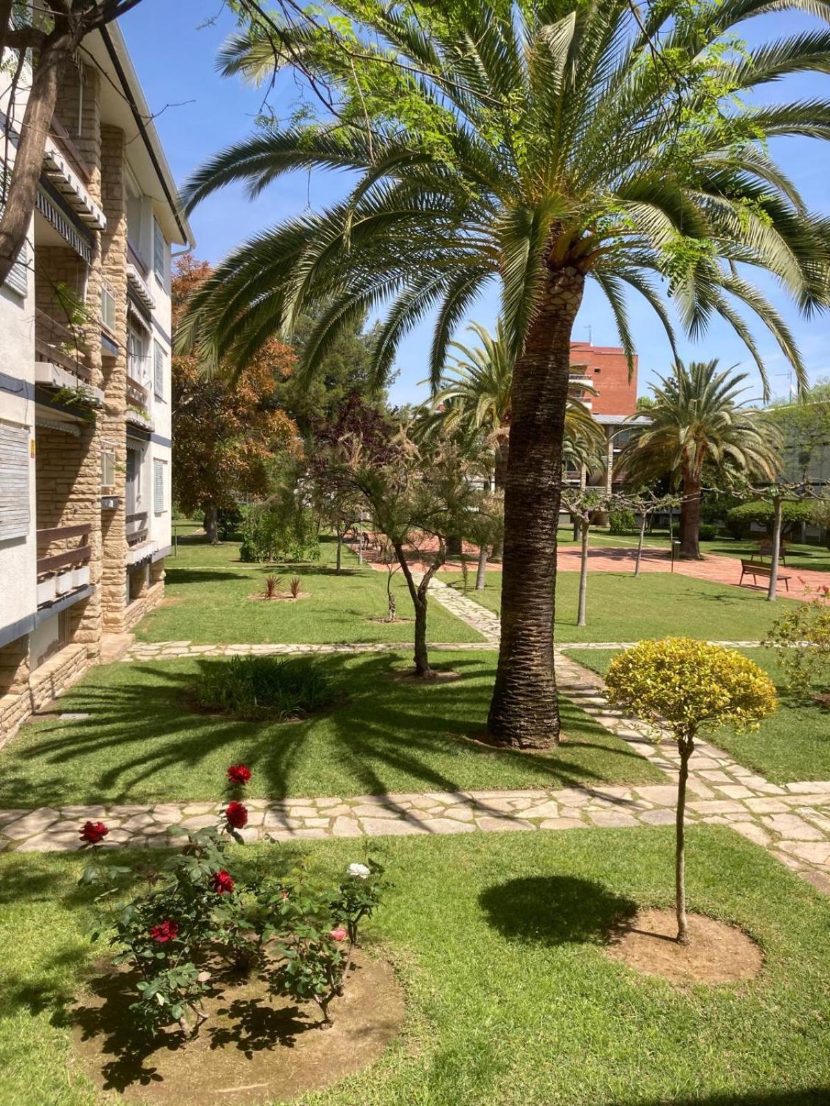 Apartment's Mallorca