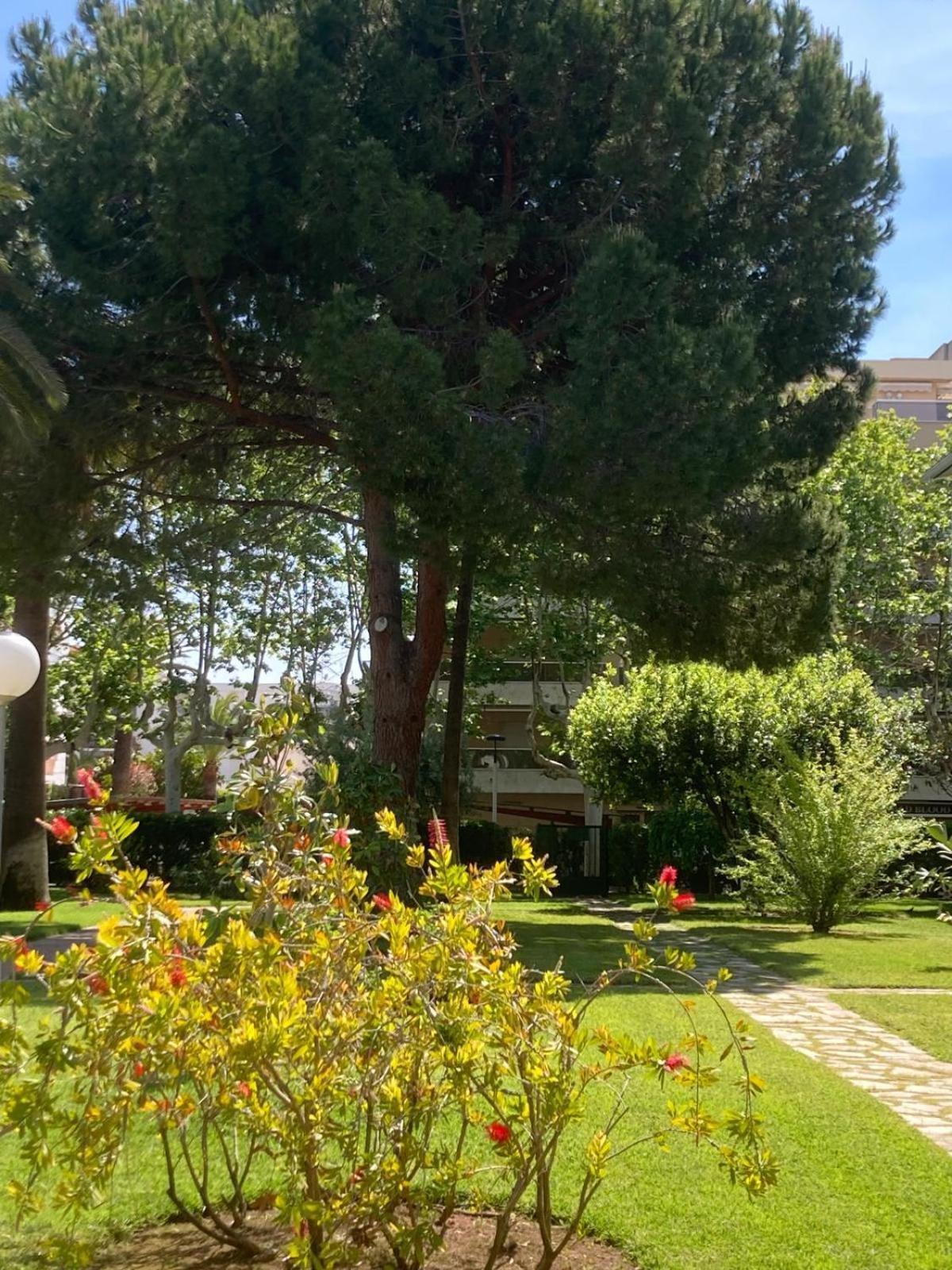 Apartment's Mallorca * Salou