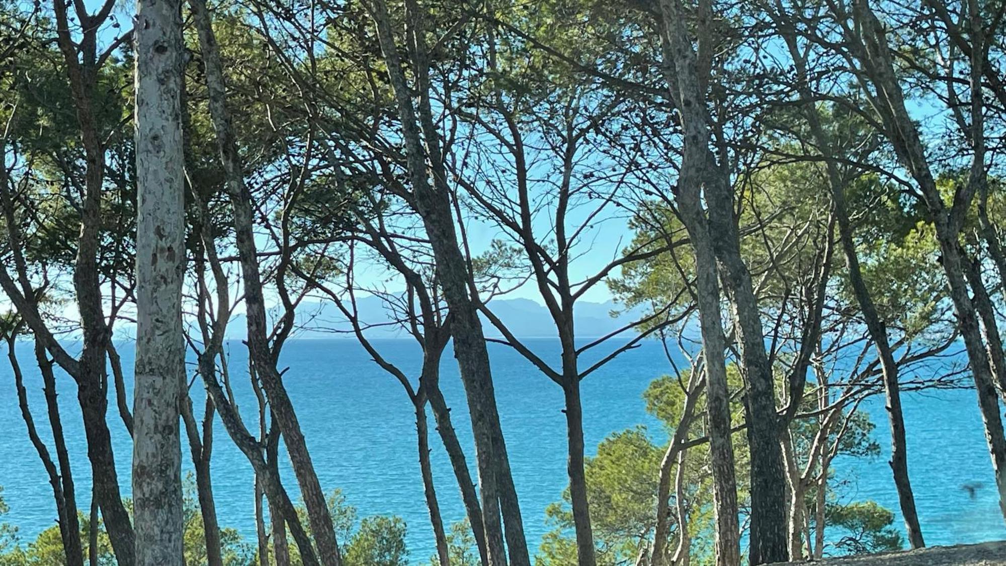 Cap Mar *