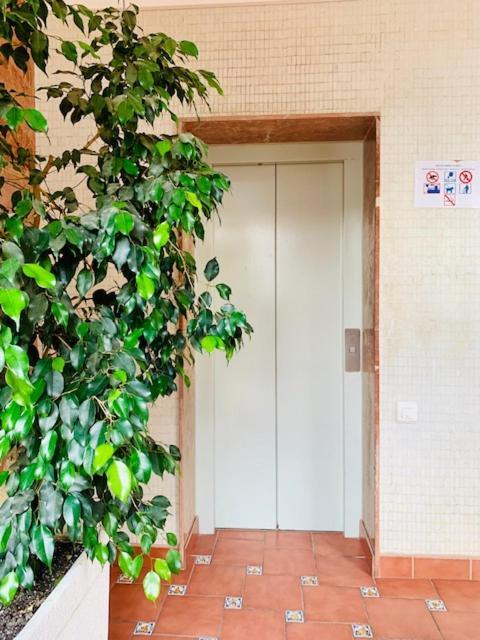 Apartamento Caballo White Salou