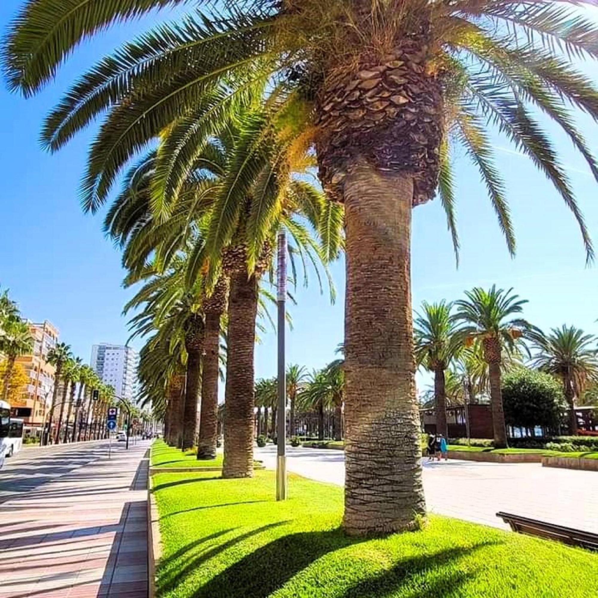 Paradis, Stunning Sea View & Close Center Salou