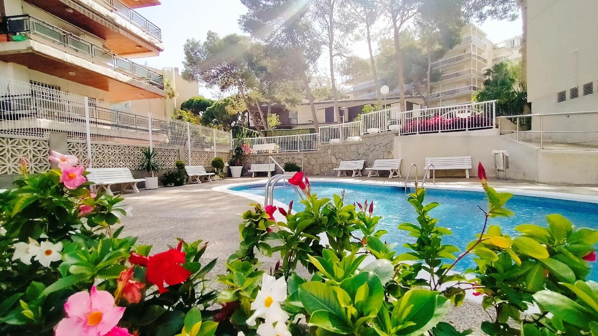 Paradis, Stunning Sea View & Close Center