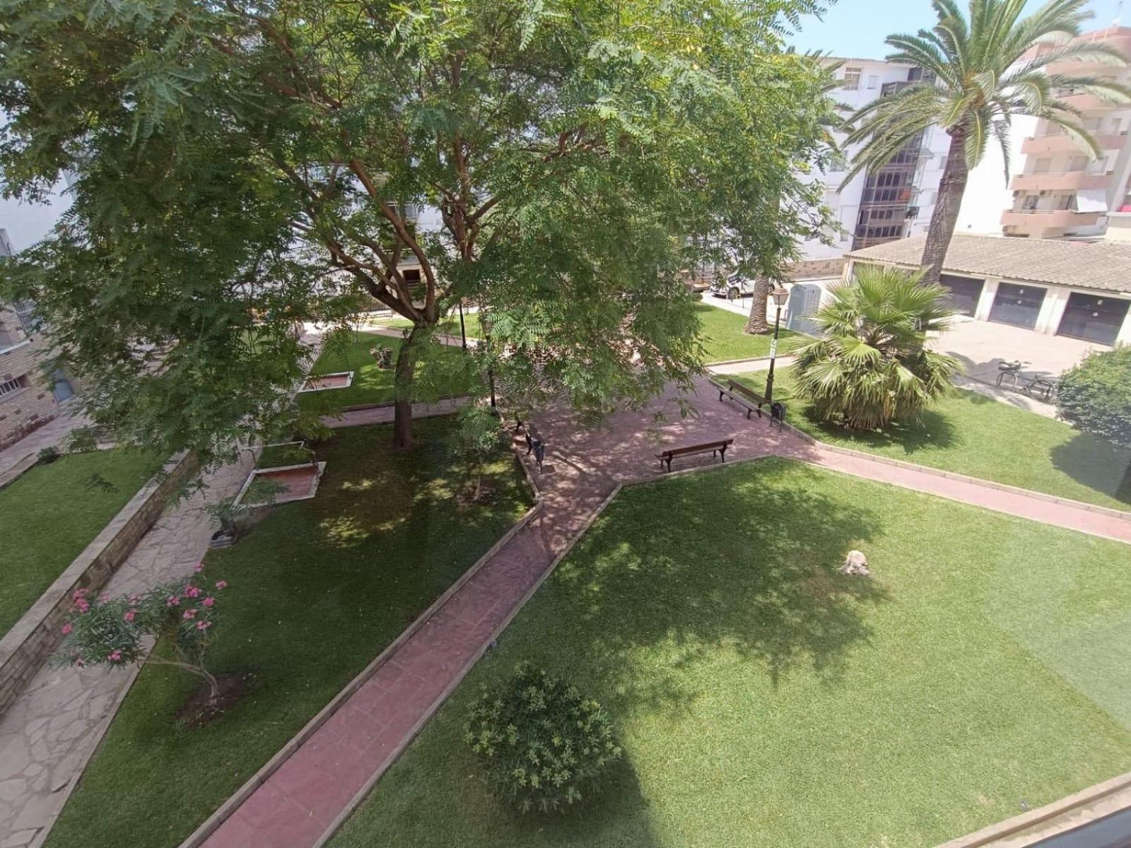 Palm Apartamento