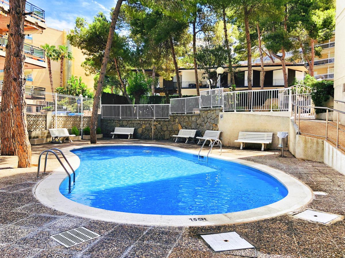 Rentalmar Paradis *