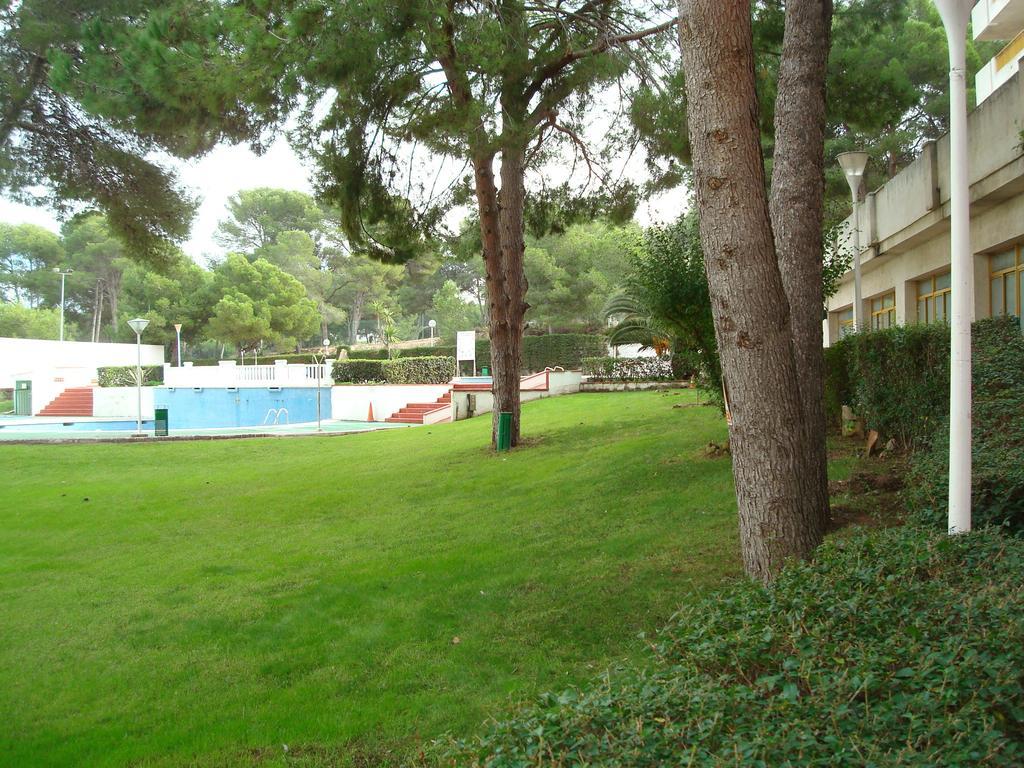 C&b Catalunya 92