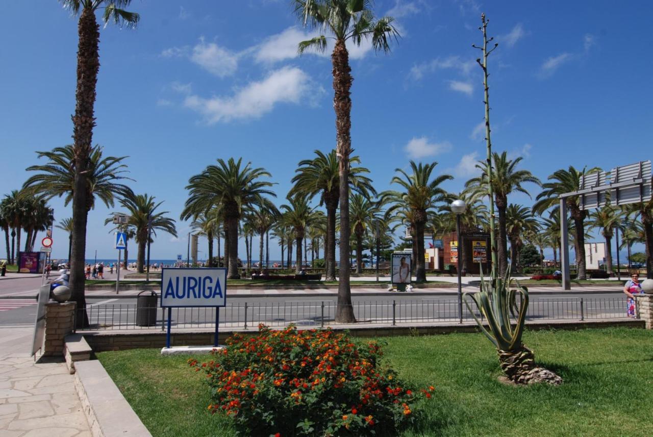 Zeus Auriga * Salou