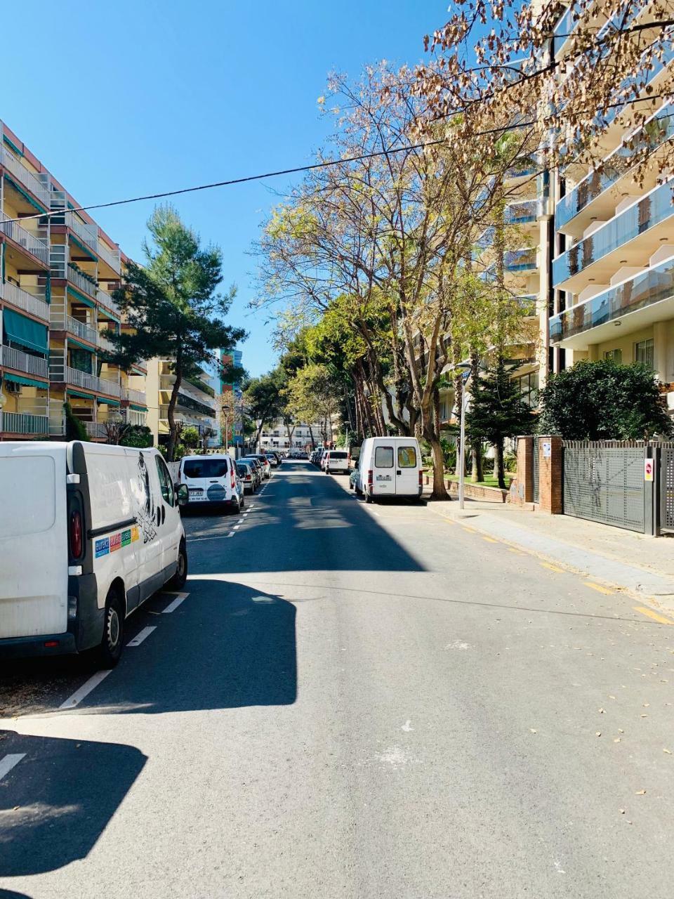Avenida *