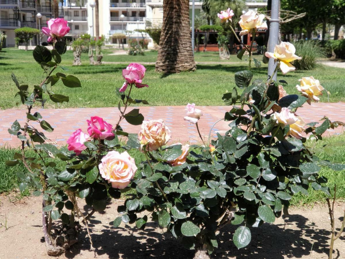 Apartamento Kristina Apartamento *