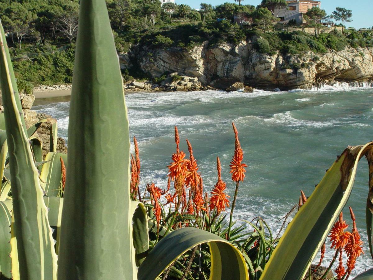 Apartment Cala Crancs Cap *