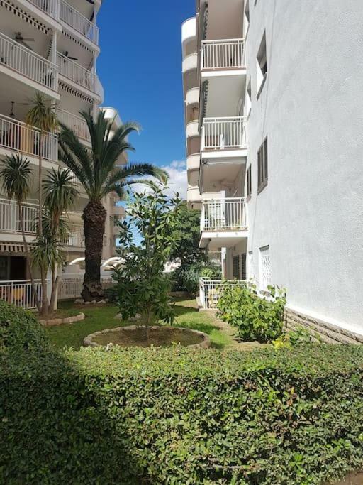 Apartamento Excepcional,piscina Y 100m De La Playa, Parking Gratis!! Apartment *
