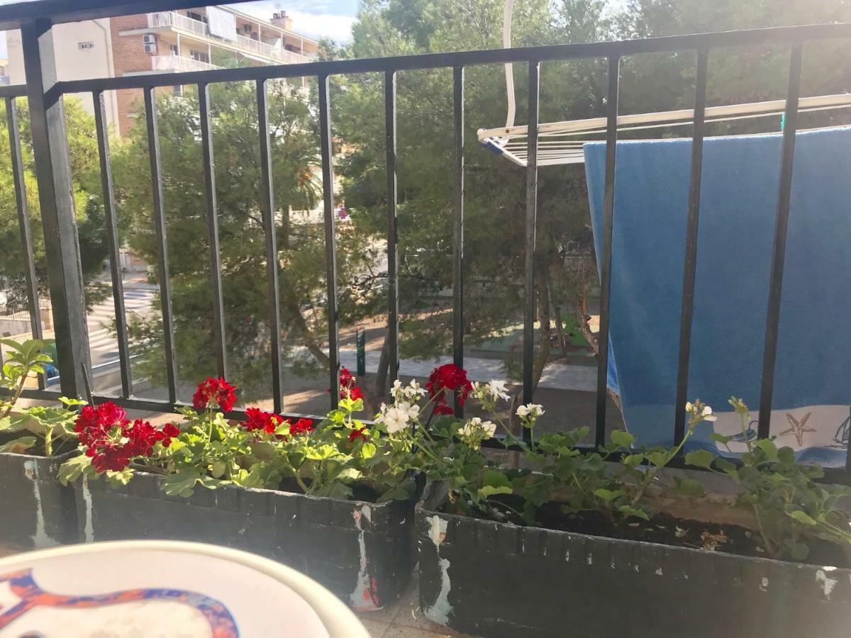 Compartidas En Un Apartamento * Salou