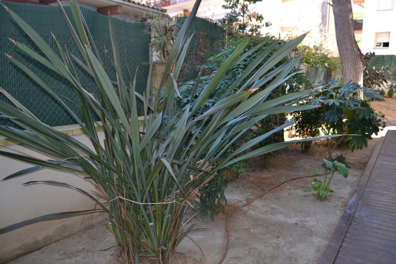 Fabuloso Apartamento Familiar Con Piscina En
