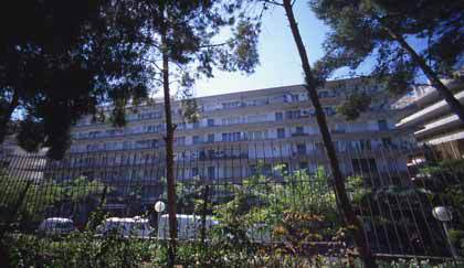 Rentalmar Goya Hotel