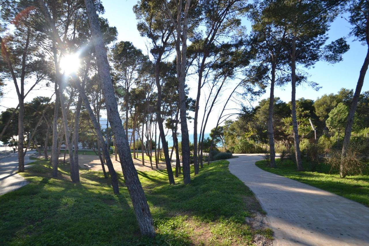 Apartamento Wvp - Catalunya 4 *
