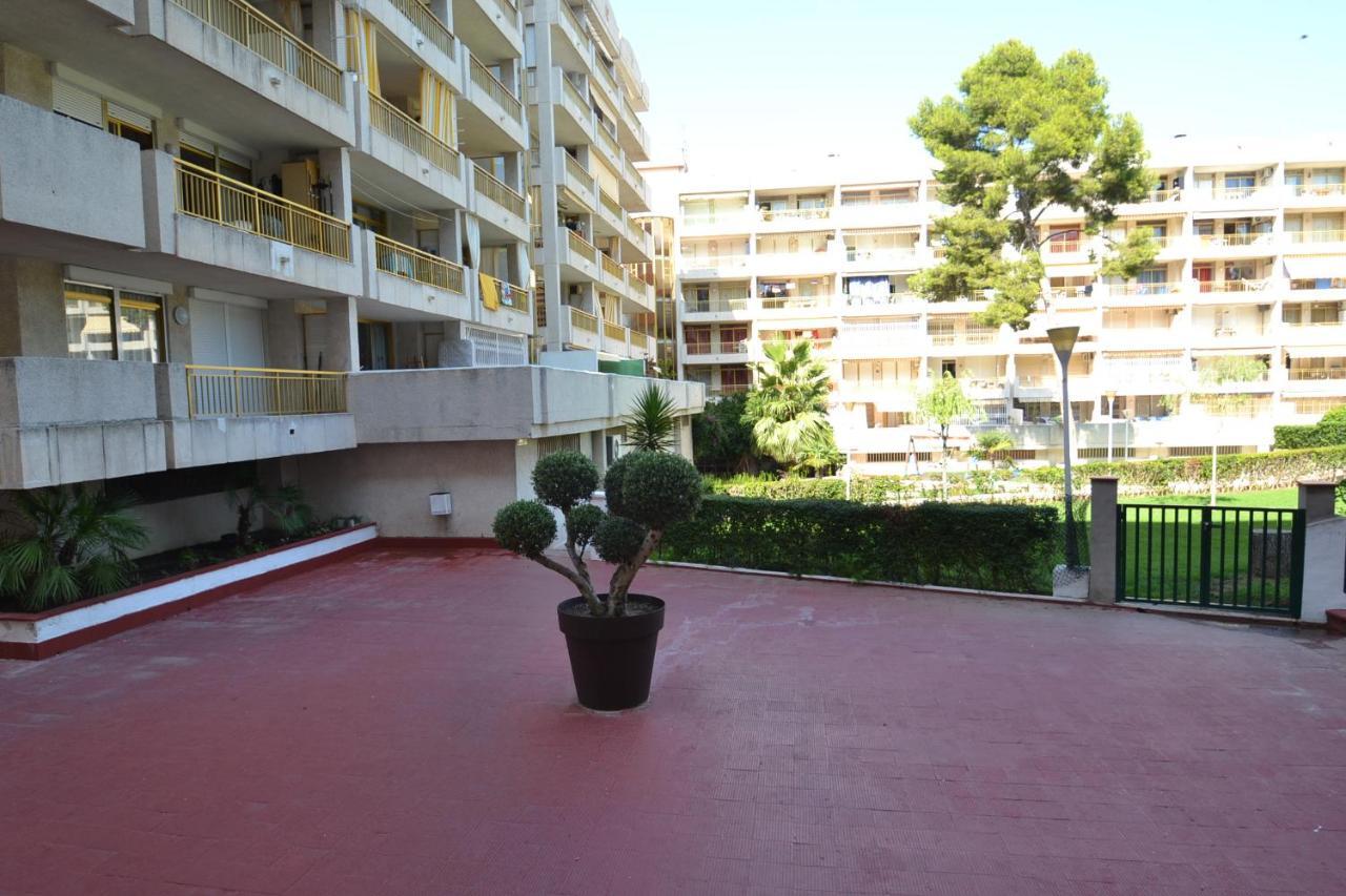 Wvp - Catalunya 4