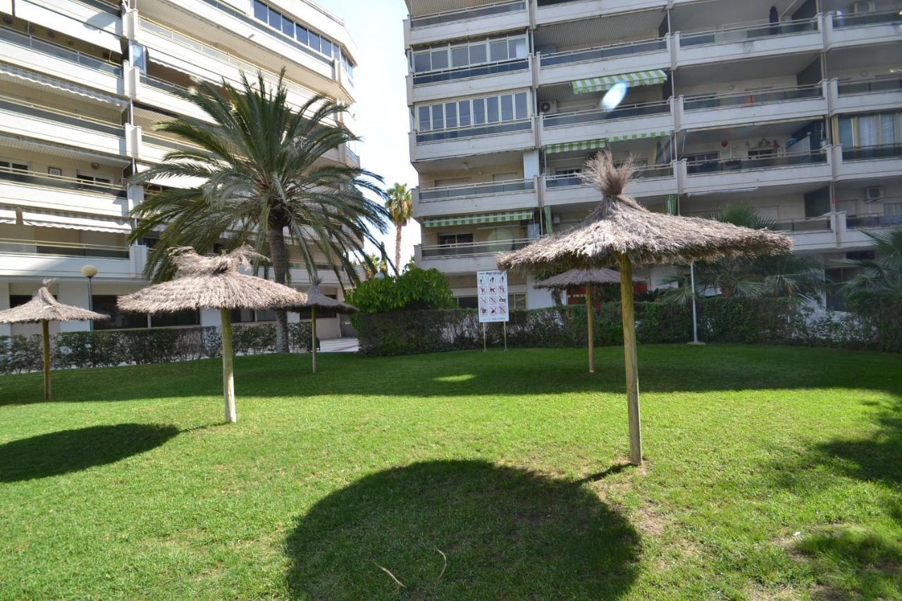 Wvp - Jardines Family 6 *