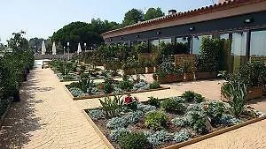 Pierre Et Vacances Cala Cristal Beach Club Apts.