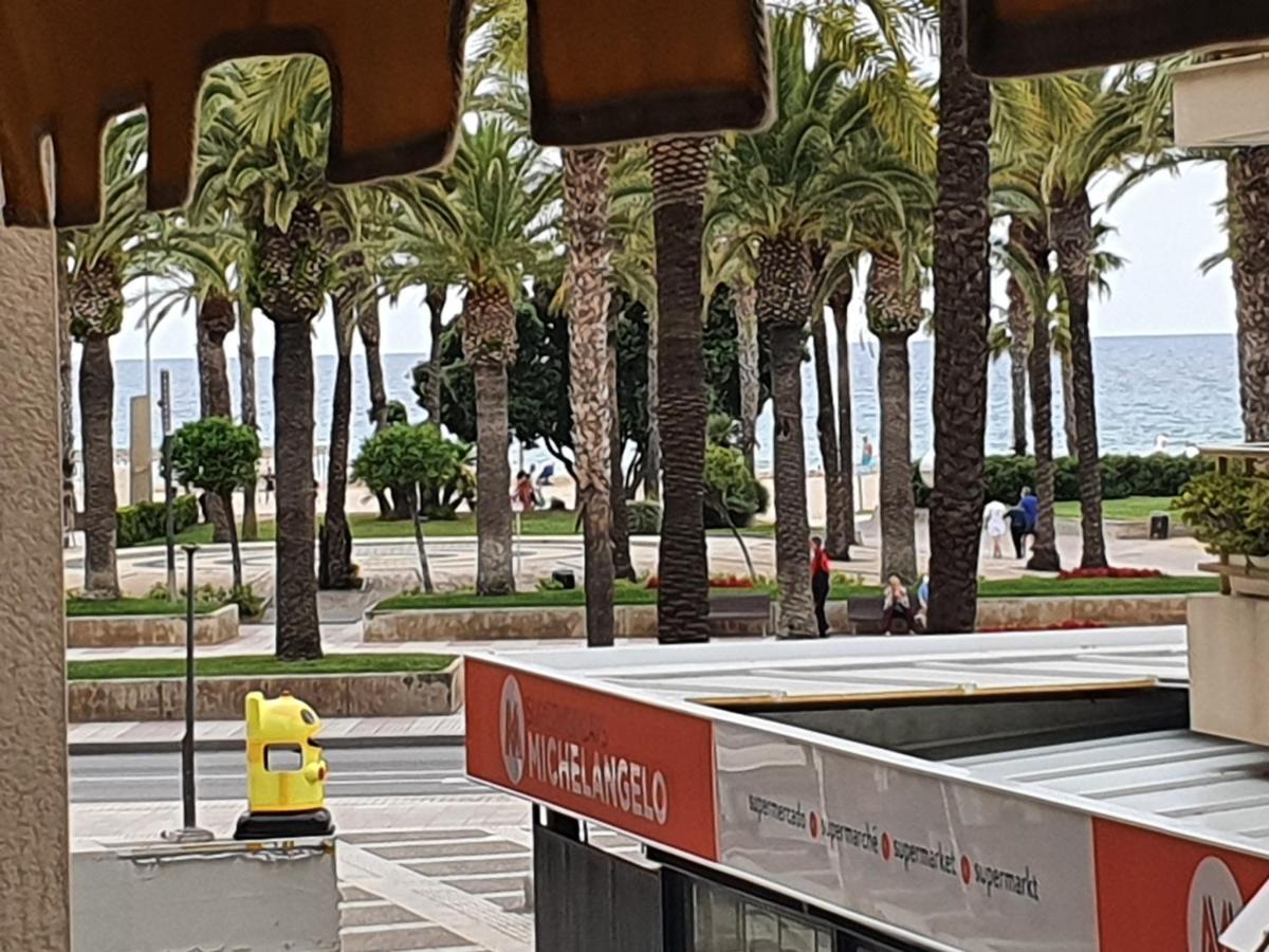,novelty, Primera Linea Del Mar Appartement *