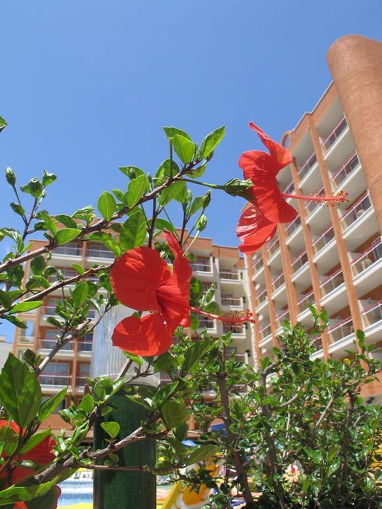 Ohtels Belvedere 3* Salou