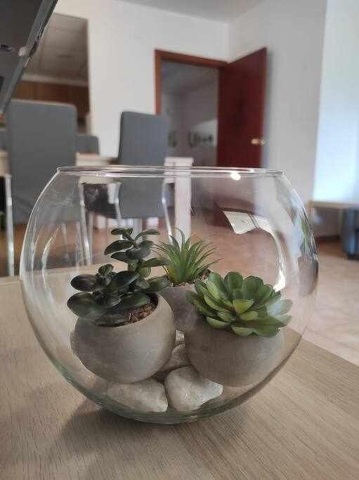 Apartamento Luminoso En La Costa