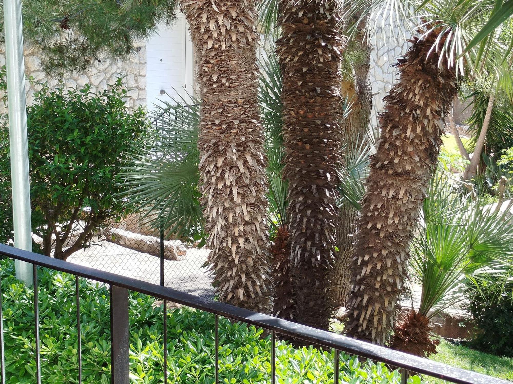Brisa Del Mar Apartamento