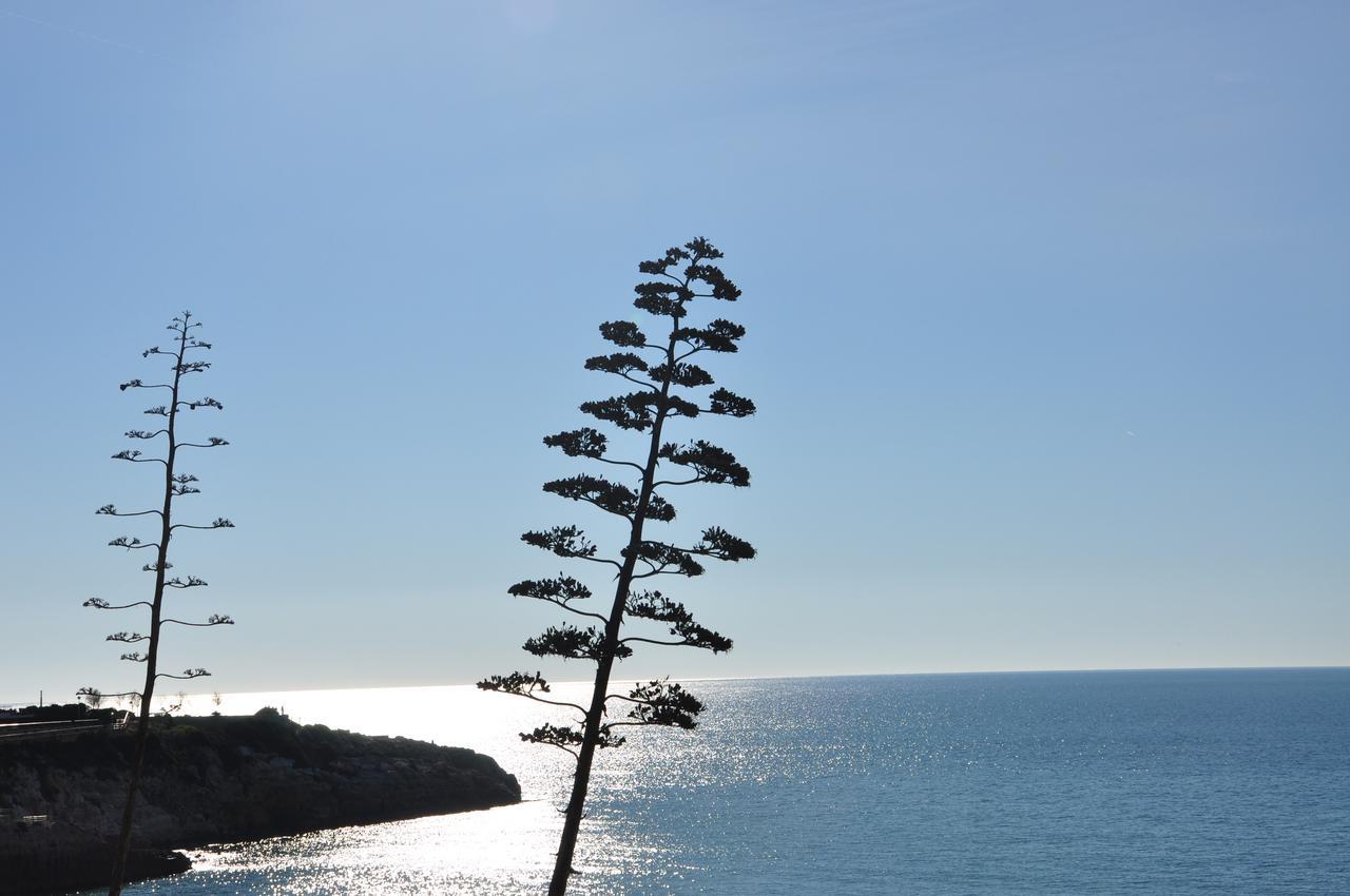 Moles Villa Salou