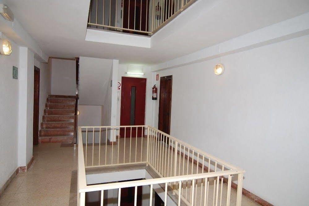 Estudios Zeus Aries *