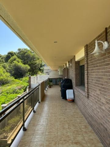 Apartment Saval Cala Font