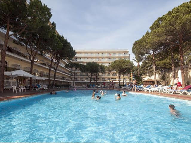 Hotel Oasis Park 4*